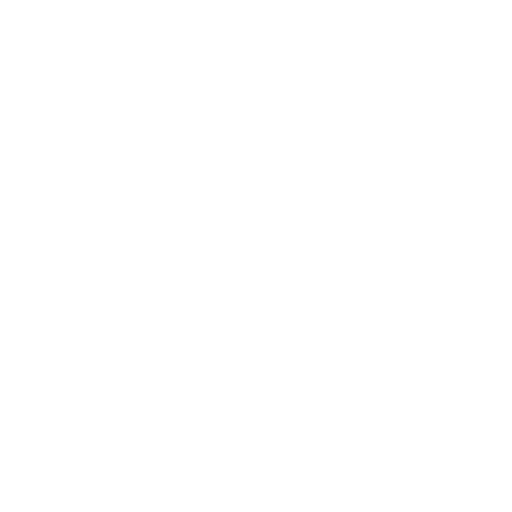 Notion Systems